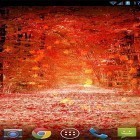 Download live wallpaper Maple leaves by orchid for free and India clock by iPlay Store for Android phones and tablets .