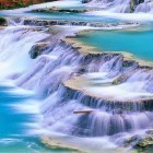 Download live wallpaper Mighty waterfall for free and Sweet flowers for Android phones and tablets .