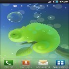 Download live wallpaper Mini Chameleon for free and Butterfly by Fun Live Wallpapers for Android phones and tablets .