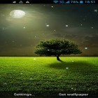 Download live wallpaper Moonlight by Live Wallpapers Ultra for free and Snow: Night city for Android phones and tablets .