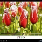 Download live wallpaper My flower 3D for free and Car and model for Android phones and tablets .
