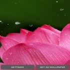 Download live wallpaper Nature by Top Live Wallpapers for free and Metaballs liquid HD for Android phones and tablets .