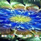 Download live wallpaper Neon flowers by Phoenix Live Wallpapers for free and Ocean waves by mathias stavrou for Android phones and tablets .