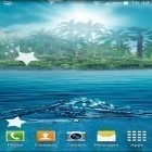 Download live wallpaper Ocean by Maxi Live Wallpapers for free and Fireflies by Jango LWP Studio for Android phones and tablets .