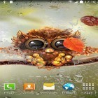 Download live wallpaper Owl by Live Wallpapers 3D for free and Tropical beach for Android phones and tablets .