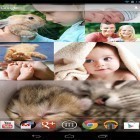 Download live wallpaper Photo wall FX for free and Water garden for Android phones and tablets .