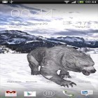 Download live wallpaper Pocket Bear for free and Starry background for Android phones and tablets .