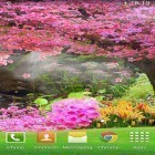 Download live wallpaper Sakura by orchid for free and Dollars for Android phones and tablets .