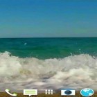 Download live wallpaper Sea by JimmyTummy for free and Nymph for Android phones and tablets .