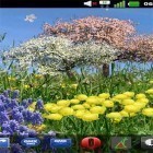 Download live wallpaper Spring flowers by SoundOfSource for free and Rainstorm for Android phones and tablets .