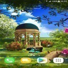 Download live wallpaper Spring landscape for free and Feather heart for Android phones and tablets .