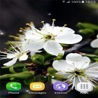 Download live wallpaper Springtime for free and Road night HD for Android phones and tablets .