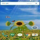 Download live wallpaper Sunflower 3D for free and Allahu Akbar for Android phones and tablets .