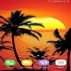 Download live wallpaper Tropical by BlackBird Wallpapers for free and Car and model for Android phones and tablets .