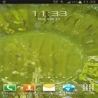 Download live wallpaper True water for free and Mountain weather for Android phones and tablets .