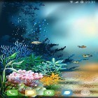 Download live wallpaper Underwater world by orchid for free and Pixel rain for Android phones and tablets .