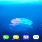 Download live wallpaper Wallpaper S8 for free and Jellyfishes for Android phones and tablets .