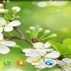 Download live wallpaper Water drops by Amax LWPS for free and Summer garden for Android phones and tablets .