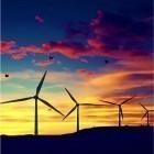 Download live wallpaper Windmill by Live Wallpapers HD for free and Cheetah by Live mongoose for Android phones and tablets .