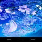 Download live wallpaper 3D sakura magic for free and Real time for Android phones and tablets .