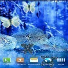 Download live wallpaper Abstract butterflies for free and Hex Cells for Android phones and tablets .