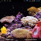 Download live wallpaper Aquarium by Best Live Wallpapers Free for free and Glowing flowers for Android phones and tablets .