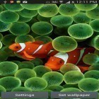 Download live wallpaper Aquarium by Seafoam for free and Christmas: Countdown for Android phones and tablets .