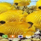 Download live wallpaper Aquarium by Top Live Wallpapers for free and Valentine Day: Heart 3D for Android phones and tablets .