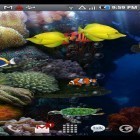 Besides Aquarium live wallpapers for Android, download other free live wallpapers for Huawei Ascend G300.