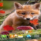 Download live wallpaper Autumn by Amax LWPS for free and Easter bunny for Android phones and tablets .
