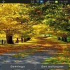 Download live wallpaper Autumn by Best wallpapers for free and Magic by AppQueen Inc. for Android phones and tablets .
