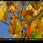 Download live wallpaper Autumn leaves 3D by Alexander Kettler for free and Winter snow by 3D HD Moving Live Wallpapers Magic Touch Clocks for Android phones and tablets .