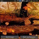 Download live wallpaper Autumn rain for free and Glitter by Latest Live Wallpapers for Android phones and tablets .