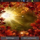 Download live wallpaper Autumn sun for free and White tiger by Revenge Solution for Android phones and tablets .