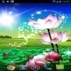 Download live wallpaper Beautiful lotus for free and Ocean waves for Android phones and tablets .