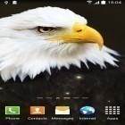 Download live wallpaper Birds by Blackbird wallpapers for free and Abstract: Christmas for Android phones and tablets .