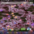 Download live wallpaper Blossom for free and Delicate beauty. Flower for Android phones and tablets .