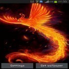 Download live wallpaper Bright bird for free and Christmas snowflakes for Android phones and tablets .