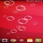 Download live wallpaper Bubble pop for free and Christmas: Countdown for Android phones and tablets .