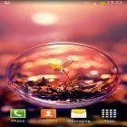 Download live wallpaper Bubbles for free and Watch square lite for Android phones and tablets .