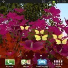 Download live wallpaper Butterflies by Wizzhard for free and Sea lilies for Android phones and tablets .