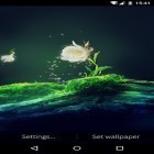 Download live wallpaper Cactus flower for free and Black patterns for Android phones and tablets .