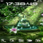 Download live wallpaper Celtic garden HD for free and Cute profile for Android phones and tablets .