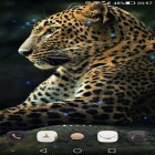 Download live wallpaper Cheetah for free and Power go сlock for Android phones and tablets .