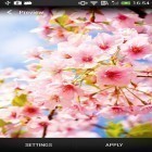 Download live wallpaper Cherry blossom for free and Ocean waves by Keyboard and HD Live Wallpapers for Android phones and tablets .