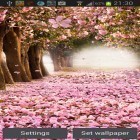 Download live wallpaper Cherry blossom by Creative factory wallpapers for free and Moto maxx for Android phones and tablets .