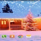 Download live wallpaper Christmas snow by Orchid for free and Steampunk skull for Android phones and tablets .