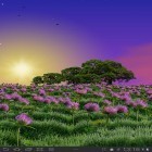 Download live wallpaper Clover field for free and Cute puppy 3D for Android phones and tablets .
