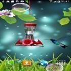 Download live wallpaper Colibri for free and Thunderstorm sounds for Android phones and tablets .