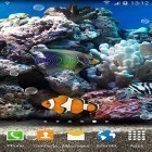 Download live wallpaper Coral fish 3D for free and Mars for Android phones and tablets .
